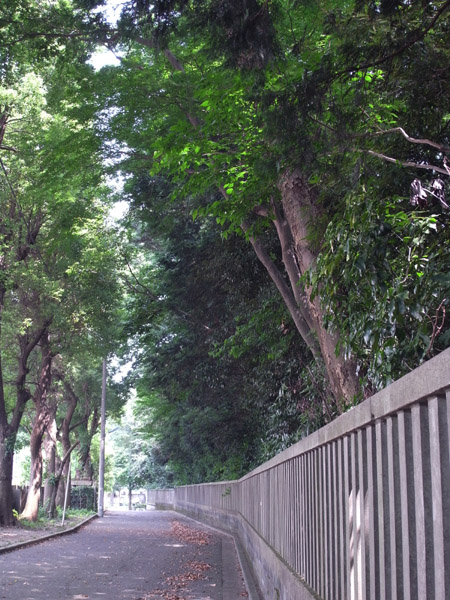 �䑐�����{�O�̓��H