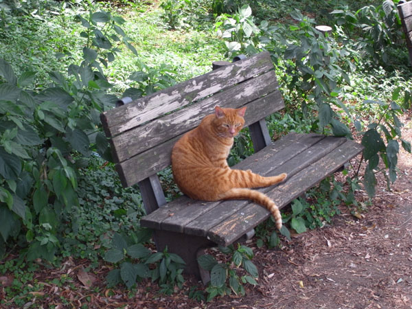 �x���`�ɍ���ՔL