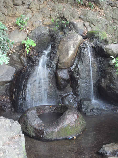 �������̗N��