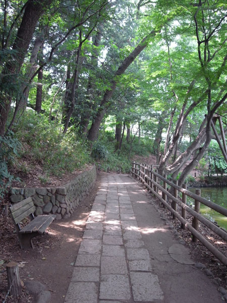 �P�����Βn�V����