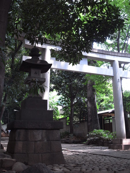 ��X�ؔ����{�̒���