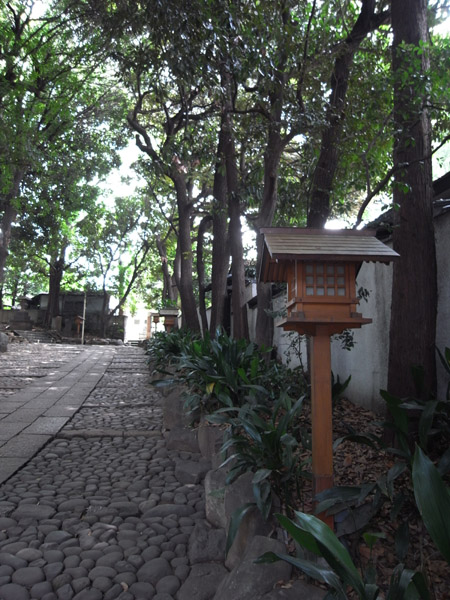 ��X�ؔ����{�̎Q��