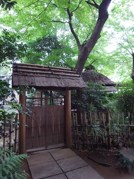 ��X�ؔ����{