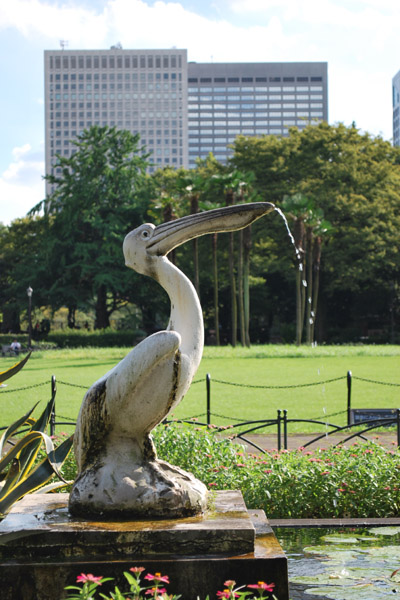 �y���J������