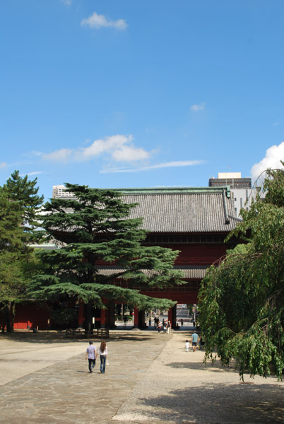 ���㎛�̎R��