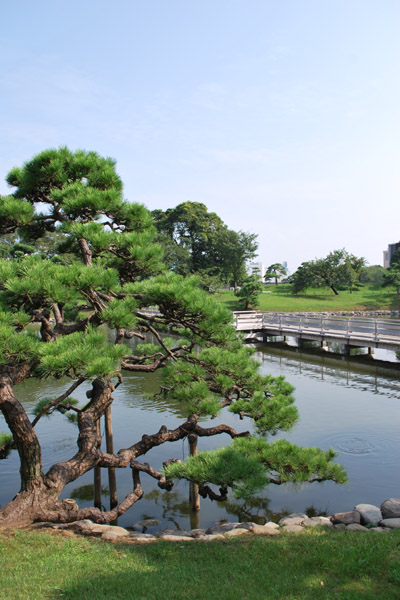 �l���{�����뉀�̒r