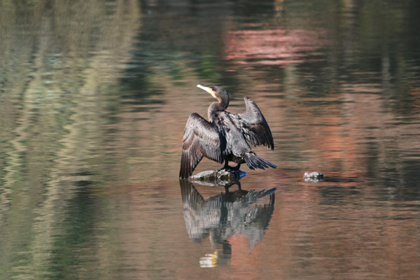 �H������������L