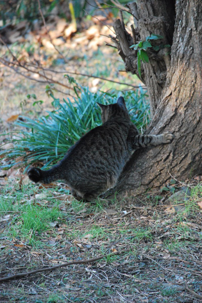 ������_���L