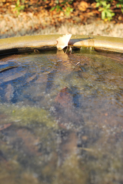 ��������P