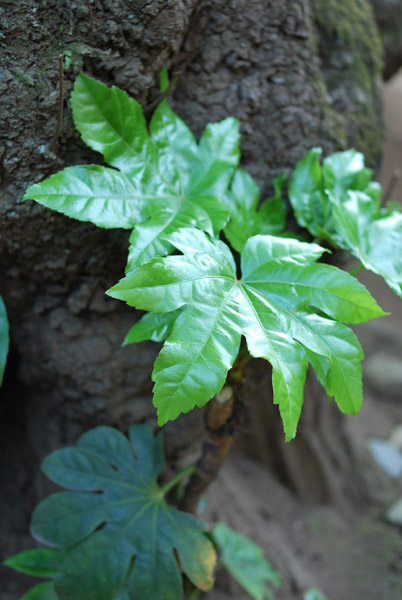 �V��������