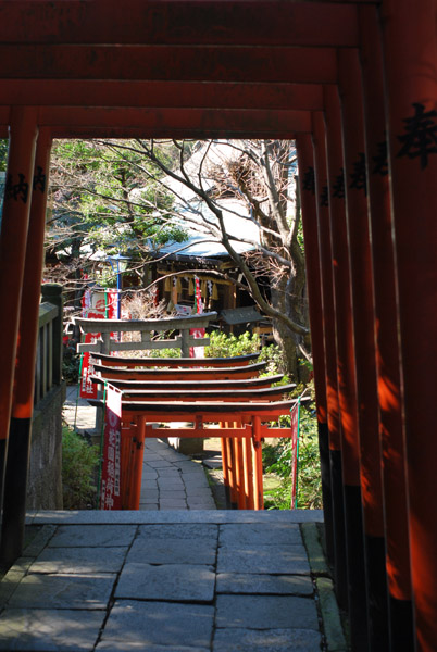 �ԉ���א_��