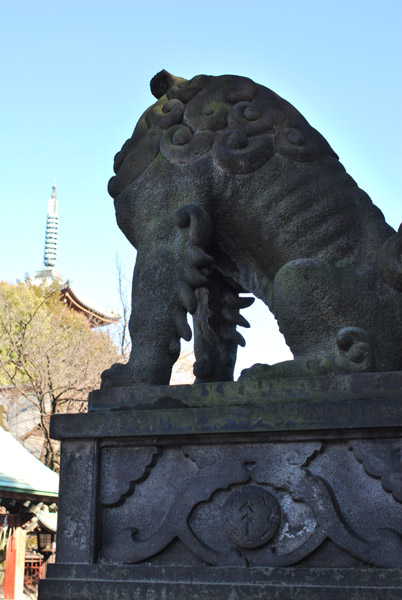 ��쓌�Ƌ{�̍���