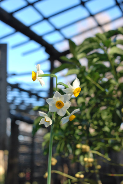 ��쓌�Ƌ{�̐���