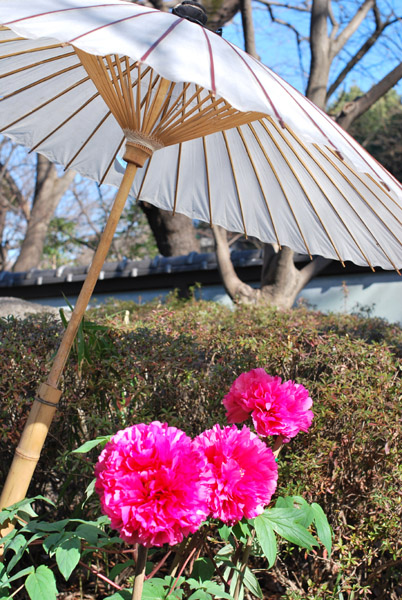 ��쓌�Ƌ{�̓~�ڂ���