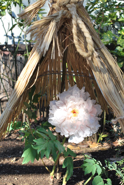 ��쓌�Ƌ{�̓~�ڂ���