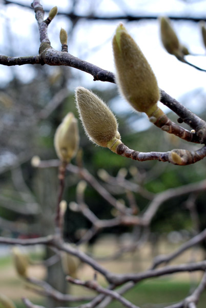 �n�N����