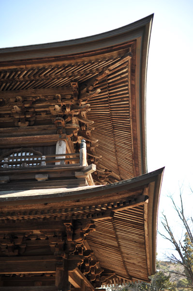 �~�o���R��