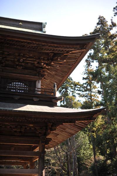 �~�o���R��