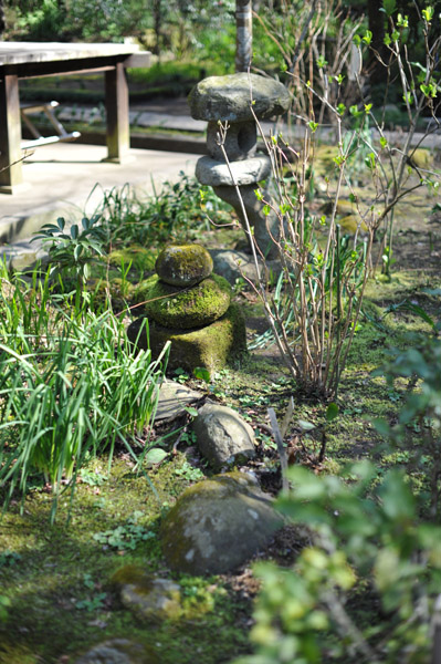 �~�o���̒뉀