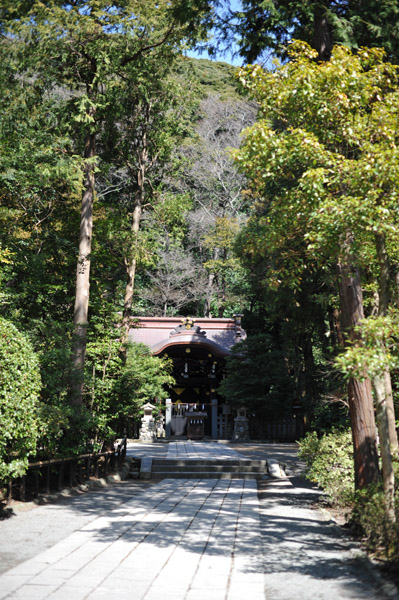 �����_��