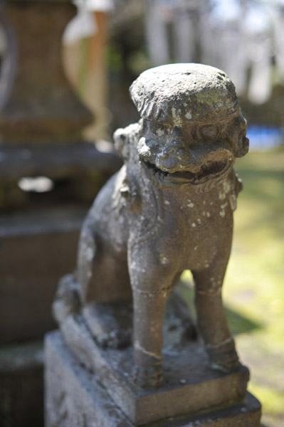 �����_�Ђ̍���