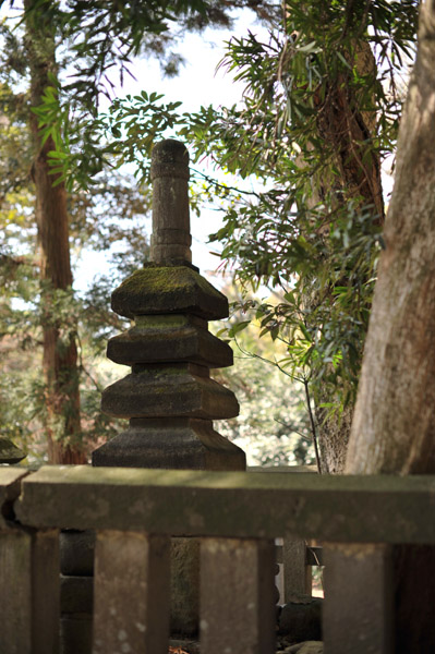 �������̂���