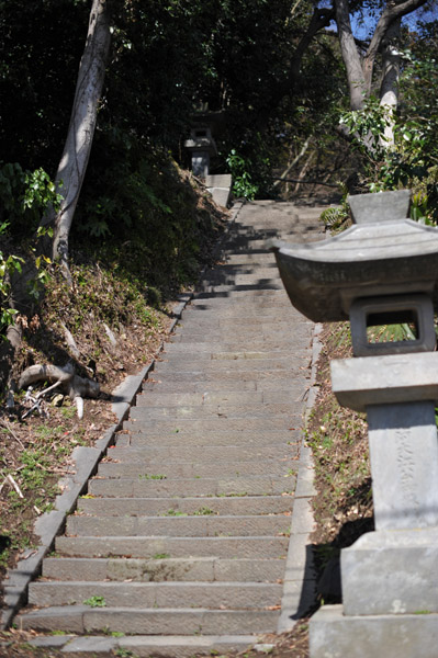 �������̂���̎Q��