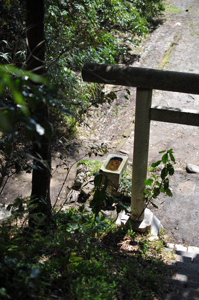 �Q������̒��]