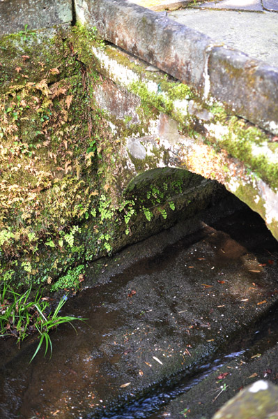 �����@�܂ł̓��e�̐��H