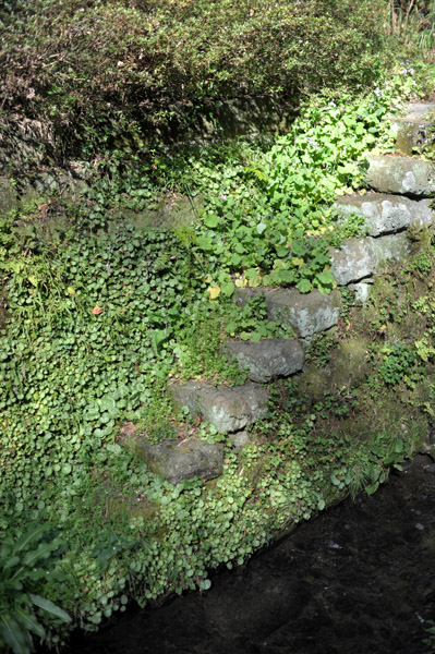 �����@�܂ł̓��e�̐��H