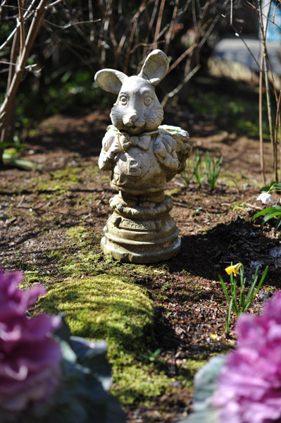 �����@�̒u��