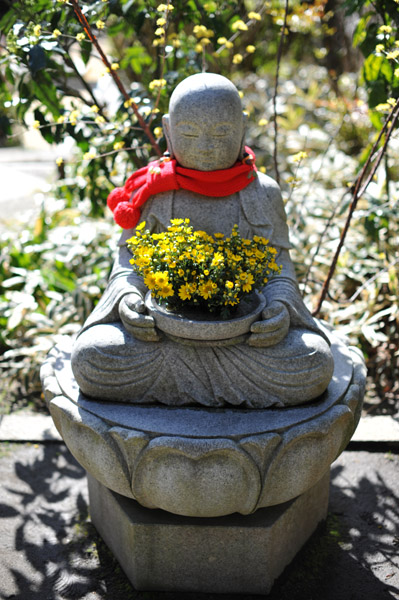 ���n���l