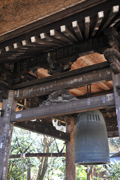 ���c���̏�