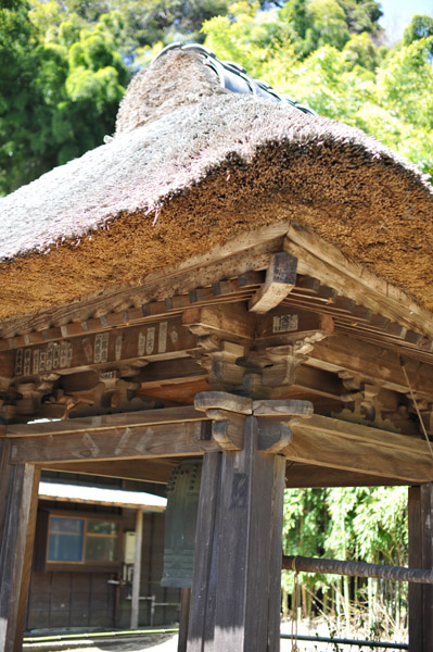 �~�����̏�