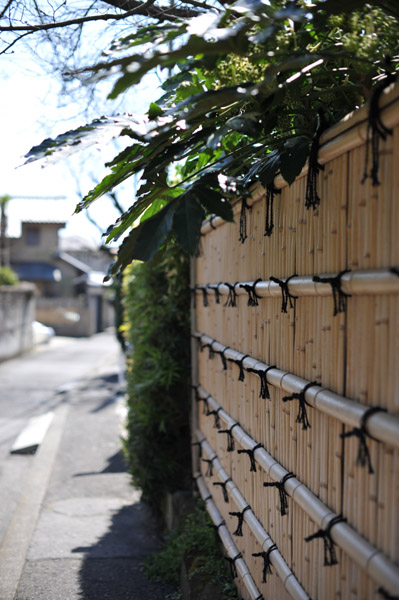 ���}���̋߂��ɂ�