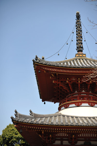 ���̏o�V��