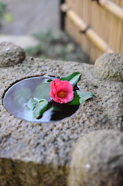 �������̒�