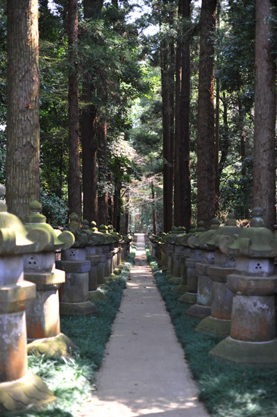 ���ю��̐Γ��U�����Ԉ�{��