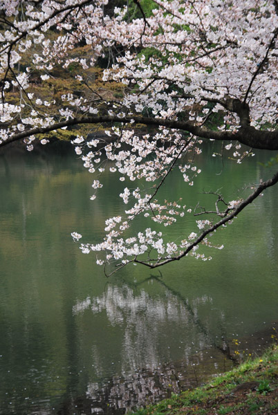 �V�h�䉑�̍����i