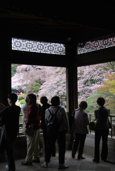 ��p�t����̍����i