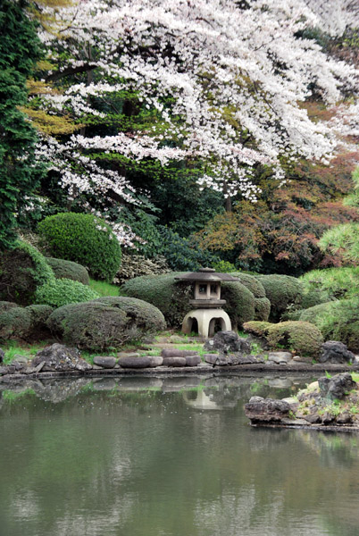 �V�h�䉑�̍����i