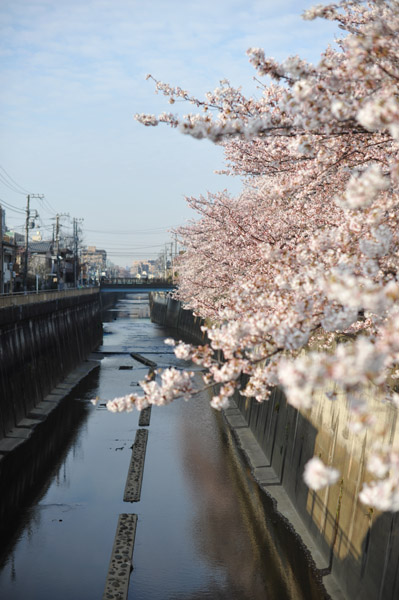 �����s����ΐ_���̍����i