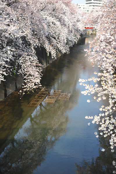 �����s����ΐ_���̍����i