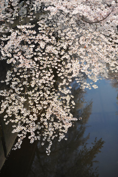 �����s����ΐ_���̍����i