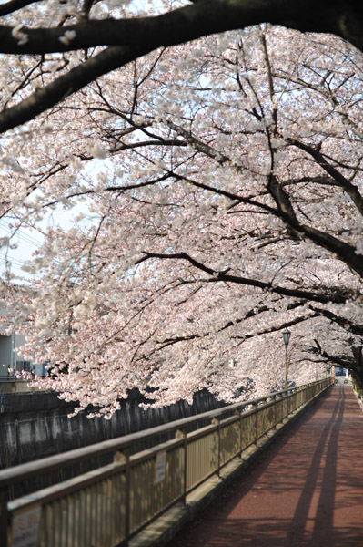 �����s����ΐ_���̍����i