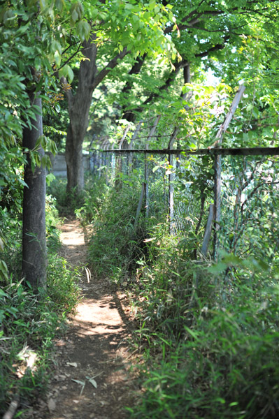 ���ƂߎR����