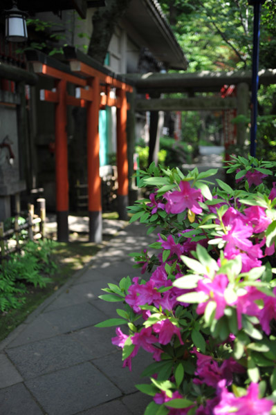 �ԉ���א_��