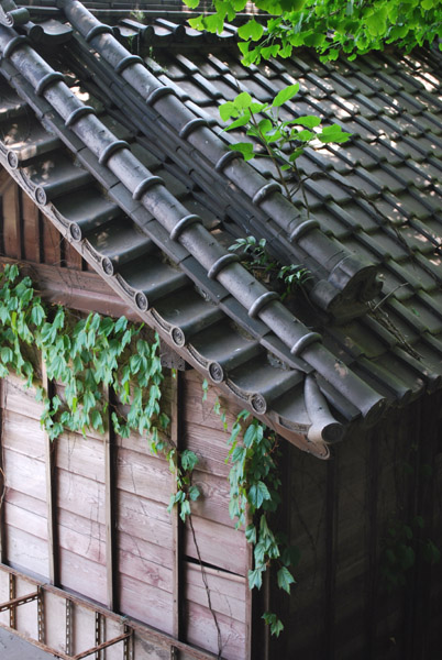 �z���_��