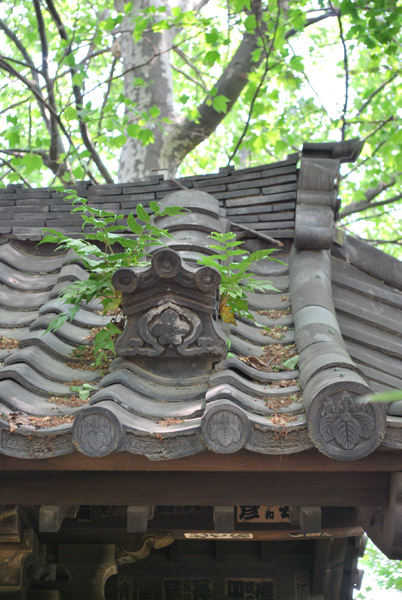 �萅�̉���