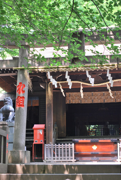 �z���_��